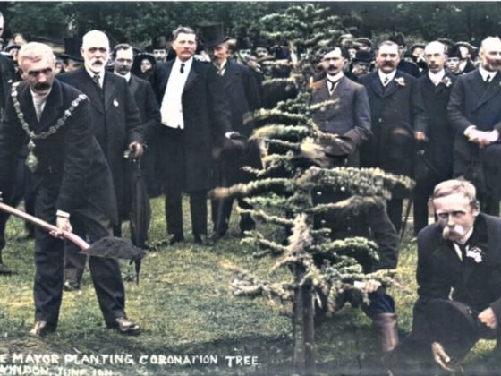 Historic image of the Mayor of Swindon planting a tree in the Town Gardens