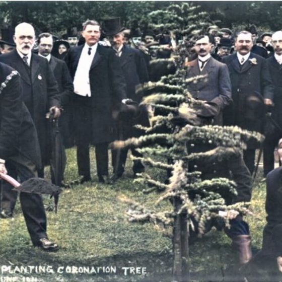 Historic image of the Mayor of Swindon planting a tree in the Town Gardens