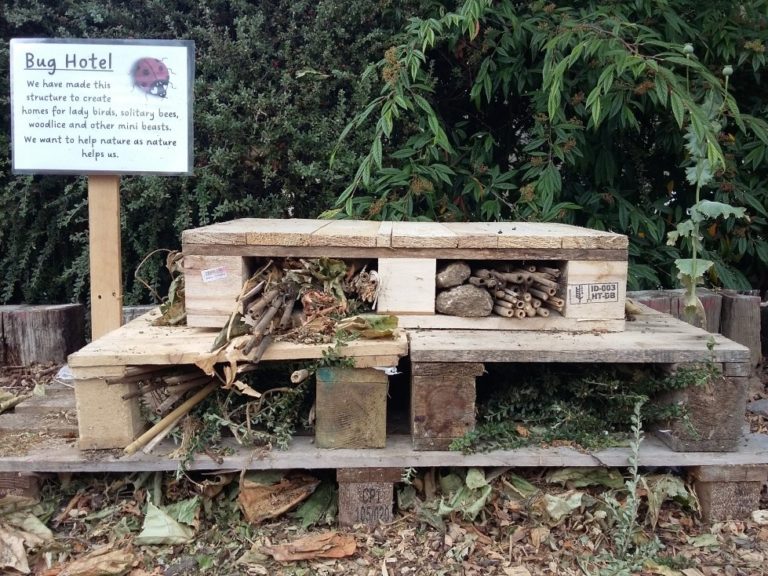 Cambria Bridge Bug Hotel