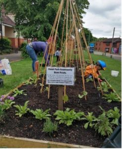 Canal Path Community Bean Patch